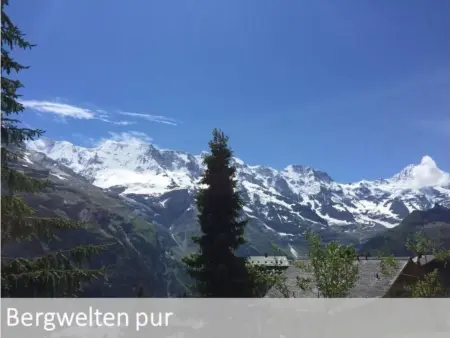 Panorama 2 Bett Wohnung, Appartement 3 personnes à Lauterbrunnen - Photo 5