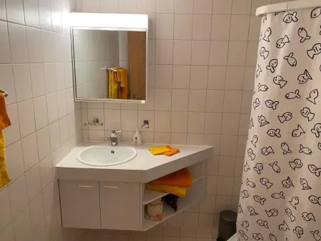 Panorama 2 Bett Wohnung, Appartement 3 personnes à Lauterbrunnen - Photo 17