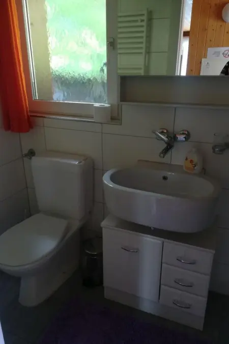 Chalet Böbs 4-Bettwohnung im Parterre, Appartement 4 personnes à Lauterbrunnen - Photo 5