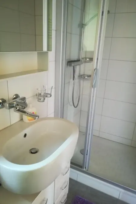 Chalet Böbs 4-Bettwohnung im Parterre, Appartement 4 personnes à Lauterbrunnen - Photo 6