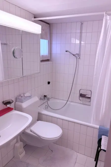 Panorama Luxury, Appartement 7 personnes à Lauterbrunnen - Photo 8