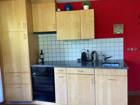 Chalet Sunnsyta;, Appartement 5 personnes à Lauterbrunnen - Photo 6