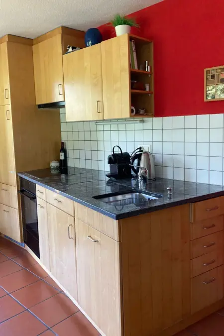 Chalet Sunnsyta;, Appartement 5 personnes à Lauterbrunnen - Photo 8