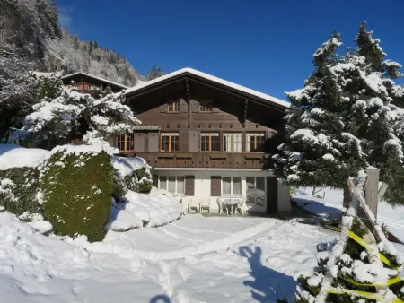 Bärgheim, 2 Bett Wohnung, Appartement 3 personnes à Lauterbrunnen - Photo 2