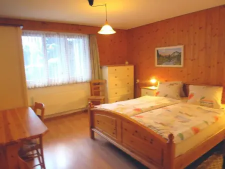 Bärgheim, 2 Bett Wohnung, Appartement 3 personnes à Lauterbrunnen - Photo 11