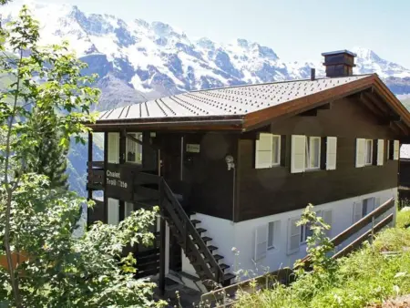 Trollhütte 4-Bett-Wohnung, Appartement 3 personnes à Lauterbrunnen - Photo 1