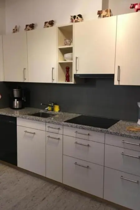 Chäs-Gruebi Wohnung Hase, 3. Stock, Appartement 4 personnes à Lauterbrunnen - Photo 2