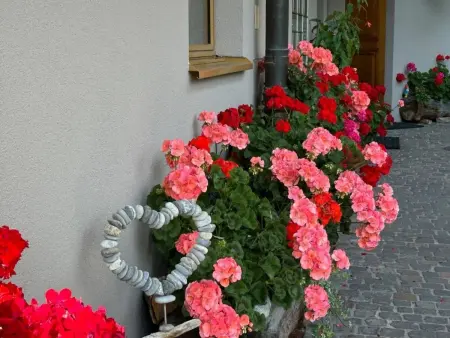 Chäs-Gruebi Wohnung Hase, 3. Stock, Appartement 4 personnes à Lauterbrunnen - Photo 19