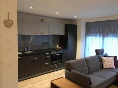 Chäs-Gruebi Wohnung Hirsch, Appartement 4 personnes à Lauterbrunnen - Photo 1