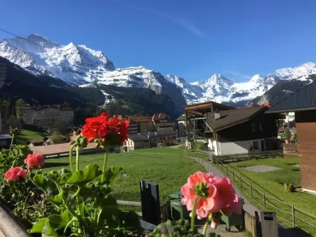 Chäs-Gruebi Wohnung Hirsch, Appartement 4 personnes à Lauterbrunnen - Photo 9