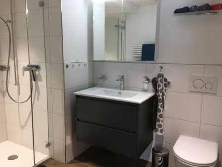 Chäs-Gruebi Wohnung Hirsch, Appartement 4 personnes à Lauterbrunnen - Photo 12