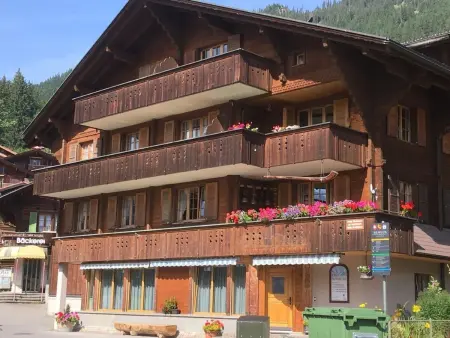 Chäs-Gruebi Wohnung Hirsch, Appartement 4 personnes à Lauterbrunnen - Photo 14