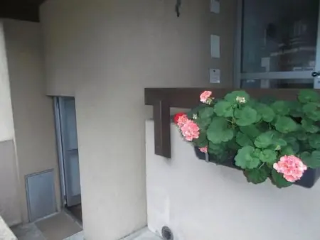 gegenüber den Staubbach Wasserfällen, Appartement 4 personnes à Lauterbrunnen - Photo 20