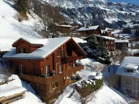 Protea 2 Bett Wohnung, Appartement 3 personnes à Lauterbrunnen - Photo 1