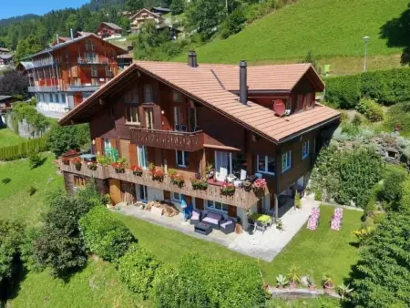 Protea 2 Bett Wohnung, Appartement 3 personnes à Lauterbrunnen - Photo 3