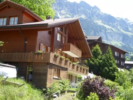 Protea 2 Bett Wohnung, Appartement 3 personnes à Lauterbrunnen - Photo 4