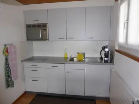 Protea 2 Bett Wohnung, Appartement 3 personnes à Lauterbrunnen - Photo 13
