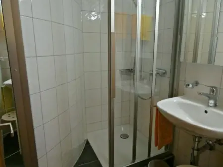 Protea 2 Bett Wohnung, Appartement 3 personnes à Lauterbrunnen - Photo 17