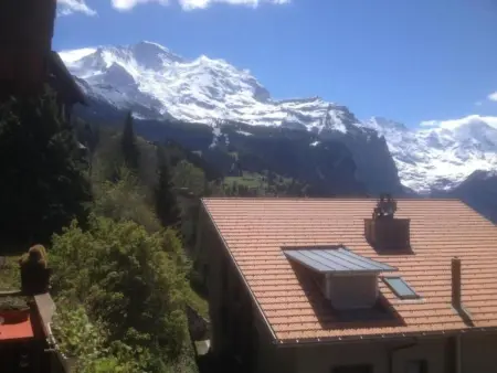 Protea 2 Bett Wohnung, Appartement 3 personnes à Lauterbrunnen - Photo 22