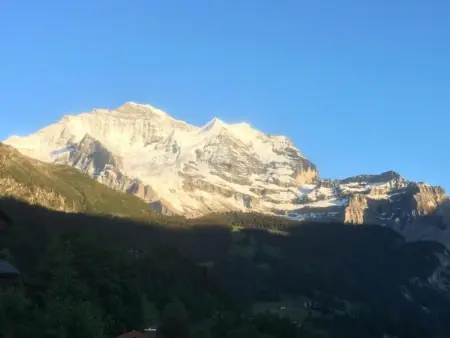 Protea 2 Bett Wohnung, Appartement 3 personnes à Lauterbrunnen - Photo 24