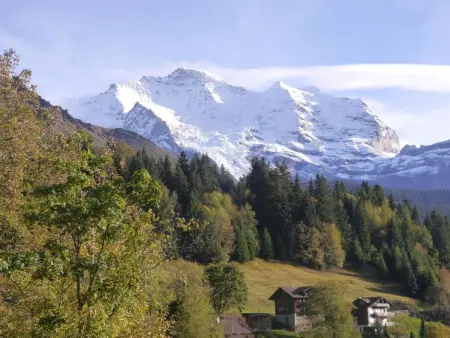 Chalet Acheregg, Appartement 2 personnes à Lauterbrunnen - Photo 20
