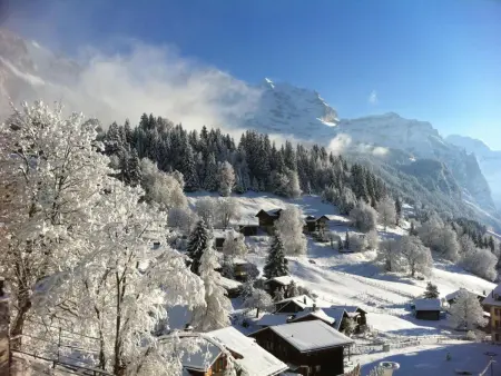Chalet Acheregg, Appartement 2 personnes à Lauterbrunnen - Photo 45