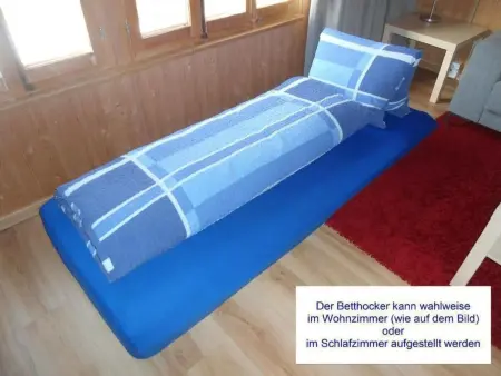 Lengwald  Hiisli, Maison 3 personnes à Lauterbrunnen - Photo 12
