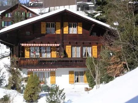 Chalet Birkli, Appartement 2 personnes à Lauterbrunnen - Photo 1