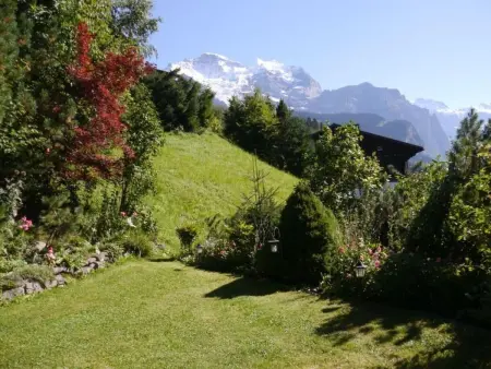Chalet Birkli, Appartement 2 personnes à Lauterbrunnen - Photo 2
