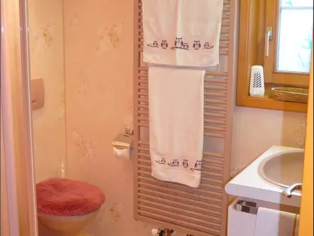 Chalet Birkli, Appartement 2 personnes à Lauterbrunnen - Photo 4