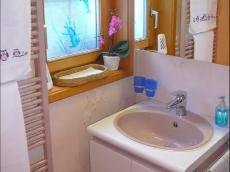 Chalet Birkli, Appartement 2 personnes à Lauterbrunnen - Photo 5