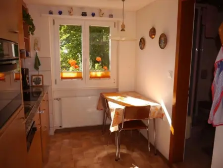 Chalet Birkli, Appartement 2 personnes à Lauterbrunnen - Photo 10