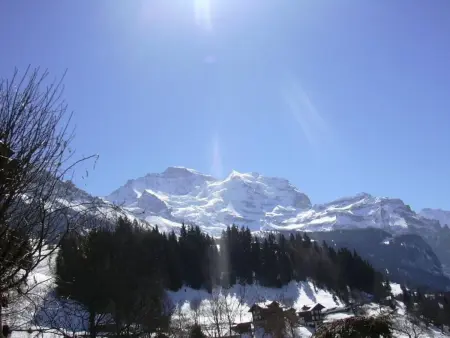 Chalet Birkli, Appartement 2 personnes à Lauterbrunnen - Photo 12