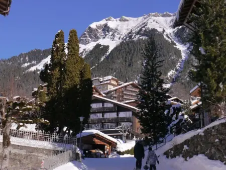 Chalet Birkli, Appartement 2 personnes à Lauterbrunnen - Photo 17
