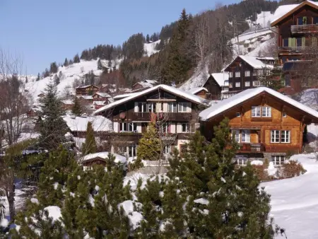 Chalet Birkli, Appartement 2 personnes à Lauterbrunnen - Photo 18