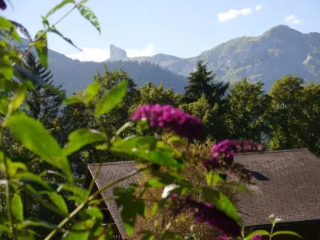 Chalet Birkli, Appartement 2 personnes à Lauterbrunnen - Photo 21