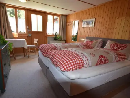 Studio bim Chilchli, Appartement 2 personnes à Lauterbrunnen - Photo 5