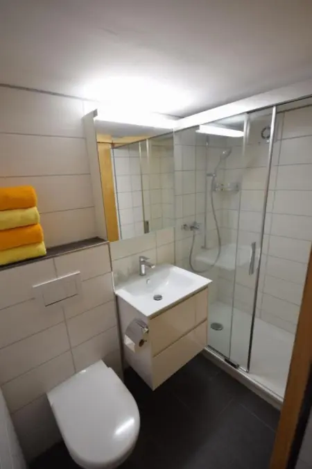 Studio bim Chilchli, Appartement 2 personnes à Lauterbrunnen - Photo 11