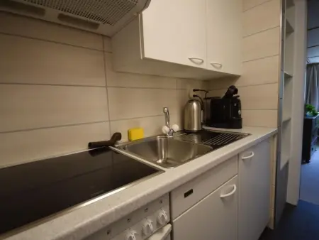 Studio bim Chilchli, Appartement 2 personnes à Lauterbrunnen - Photo 15