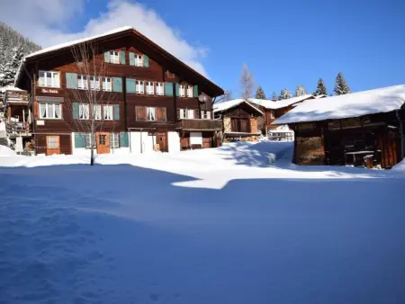 Studio bim Chilchli, Appartement 2 personnes à Lauterbrunnen - Photo 18