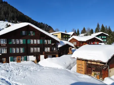 Apartment Ost, Appartement 3 personnes à Lauterbrunnen - Photo 1