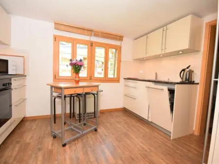 Apartment Ost, Appartement 3 personnes à Lauterbrunnen - Photo 14