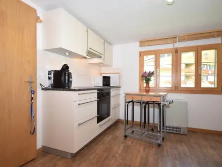 Apartment Ost, Appartement 3 personnes à Lauterbrunnen - Photo 15