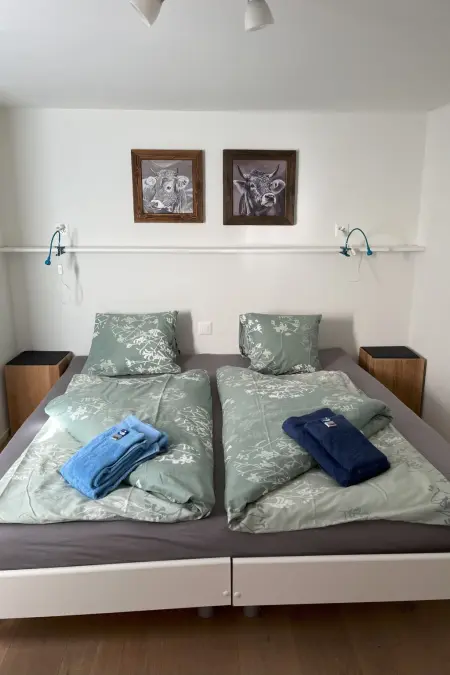 Chalet Viola, Appartement 4 personnes à Lauterbrunnen - Photo 10