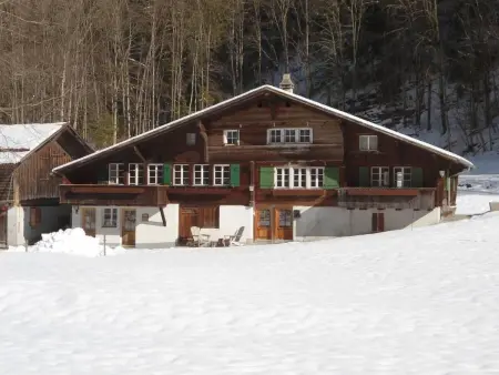 Lengwaldwohnung 285, Appartement 3 personnes à Lauterbrunnen - Photo 1