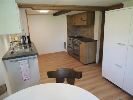 Lengwaldwohnung 285, Appartement 3 personnes à Lauterbrunnen - Photo 5