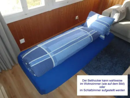 Lengwaldwohnung 285, Appartement 3 personnes à Lauterbrunnen - Photo 11