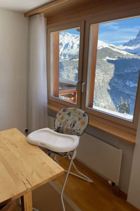 Nollen 6-Bett-Wohnung, Appartement 6 personnes à Lauterbrunnen - Photo 16