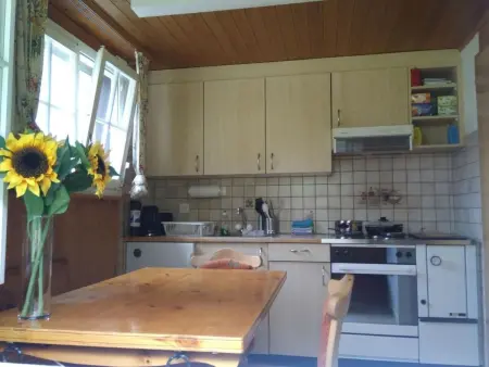 Ferien Cottage Flüehblüemli, Maison 4 personnes à Lauterbrunnen - Photo 1
