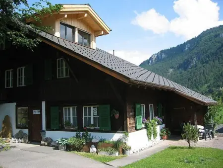 Steinideen, Appartement 5 personnes à Meiringen - Photo 1